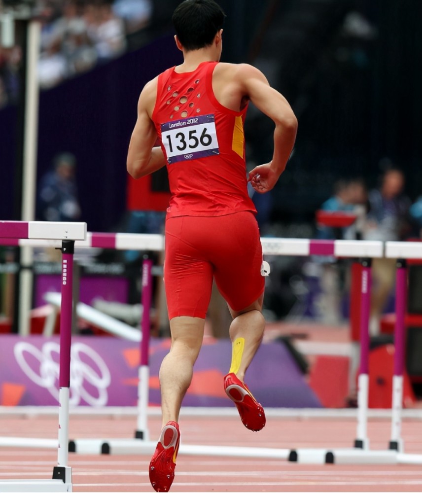 中国飞人到刘跑跑刘退退被拉下神坛的刘翔太委屈