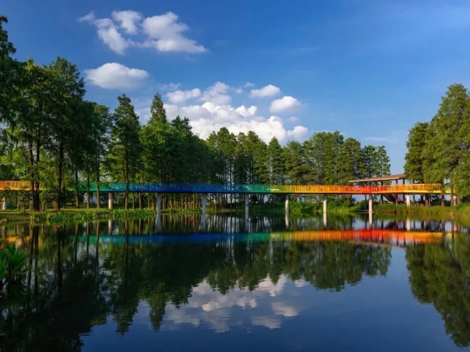 美好城事论坛上海站景观的多样性表达完整回顾附视频