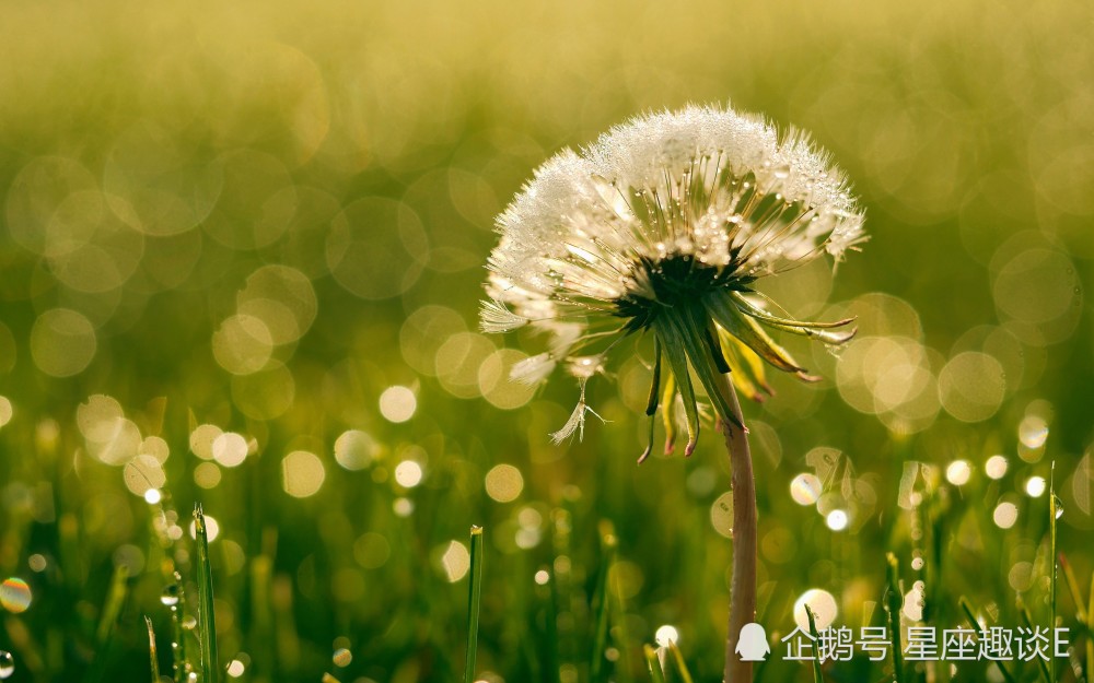 6月17日星座运势 白羊好胜心强 天蝎贵人相助 摩羯大展拳脚 腾讯新闻