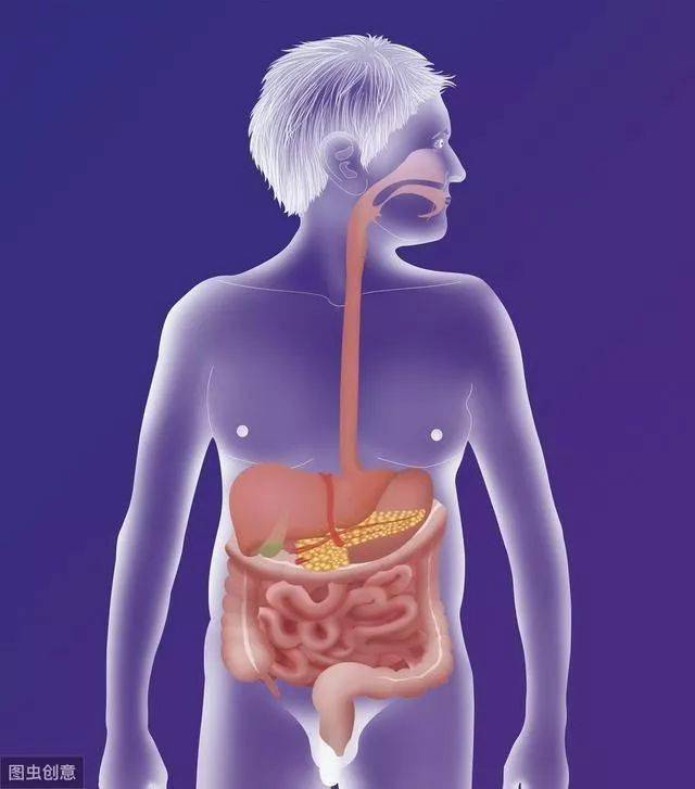 手术前一定要了解!胆囊切掉后身体可能发生这些变化
