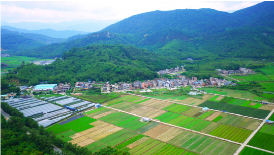 看看有没有你的家乡!增城13个村获市级美丽乡村称号