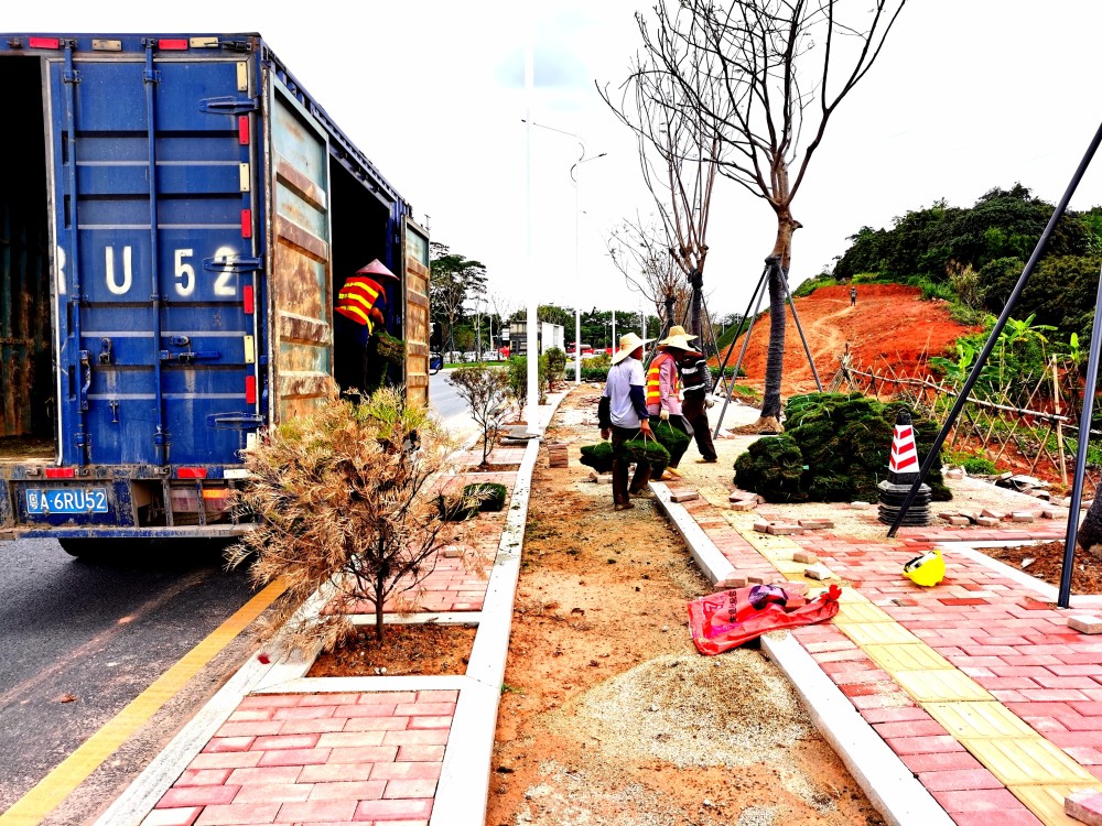 增城区仙村镇升级改造高速出入口环境,提升"窗口"形象_腾讯新闻