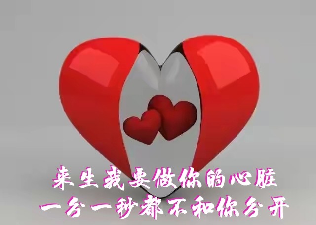 自从有了你我的人生每一天都很幸福