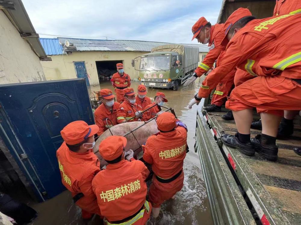 黑龙江大兴安岭地区多地内涝,森林消防员紧急救援被困群众