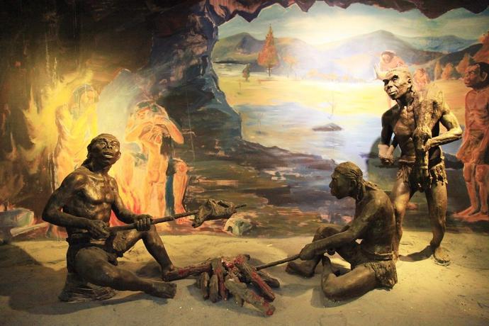 其实这还是来源于人类的原始生活,在人类野外求生的时期,看到动物的