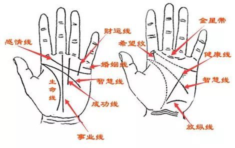 手相 财运线与生命线相连好吗 腾讯新闻