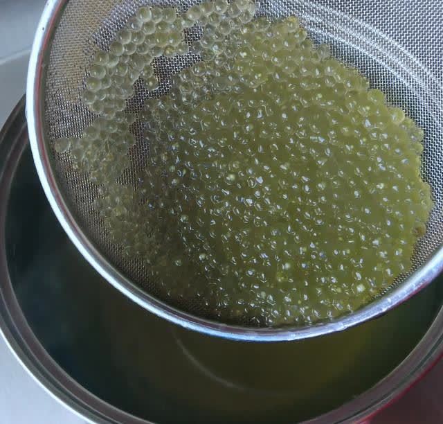 做法步骤:原料:纯牛奶,绿色小西米,茶叶,冰糖.