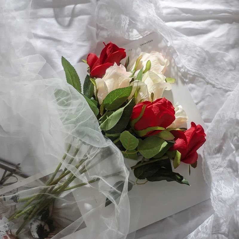 收藏在备忘录里的优美句子