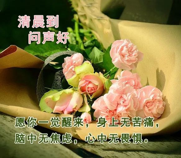最暖心的早安问候表情图片祝福语 最新漂亮早安祝福图片微信带字 腾讯新闻