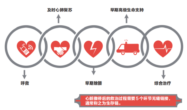 埃里克森生死时速救援堪称教科书，急救生存链应环环相扣！_腾讯新闻