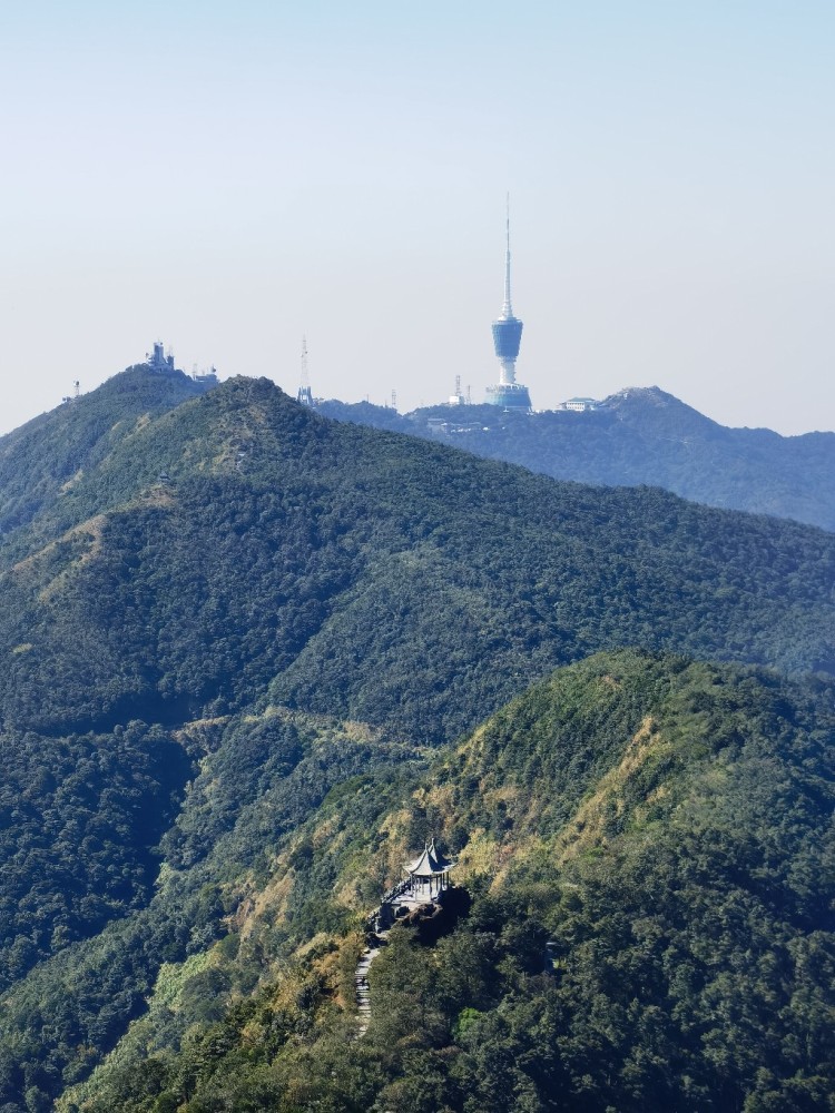 梧桐山上俯瞰盐田与香港群岛风光