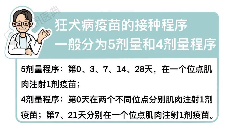 被狗舔了一口9岁男孩不幸身亡这2种伤口也要打狂犬疫苗