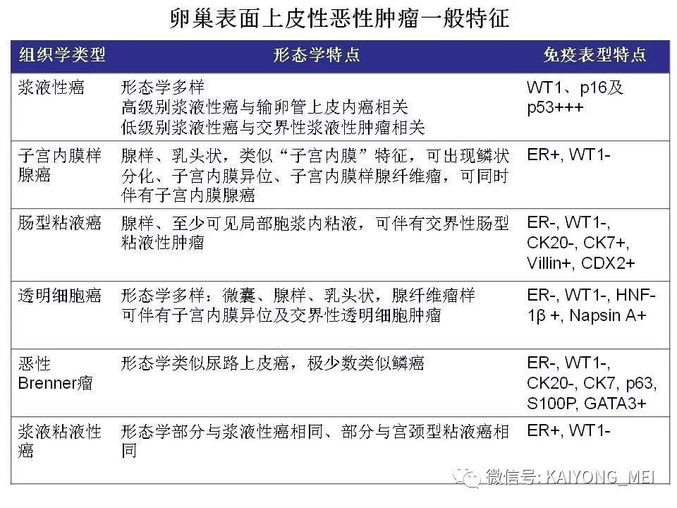 卵巢癌的病理诊断新进展(一)