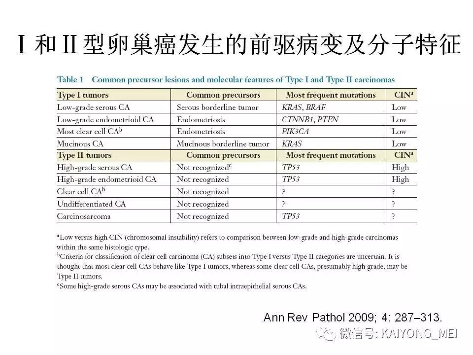 卵巢癌的病理診斷新進展(一)