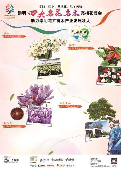 崇明四大名花名木亮相花博会助力崇明花卉苗木产业发展壮大
