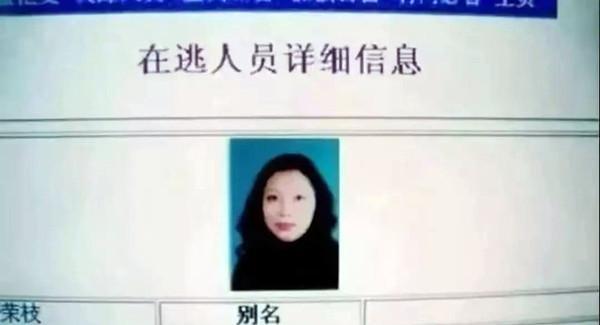 案件回顾劳容枝被捕屡次卖惨否认故意杀人真相究竟如何