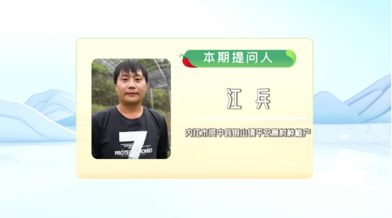 问您所江兵别让我的创业昙花一现