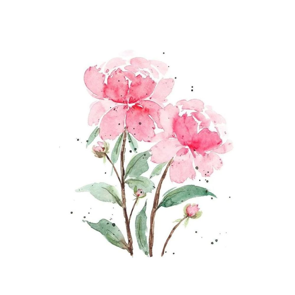 水彩|小花花 小房子绘画 干净的水彩颜色