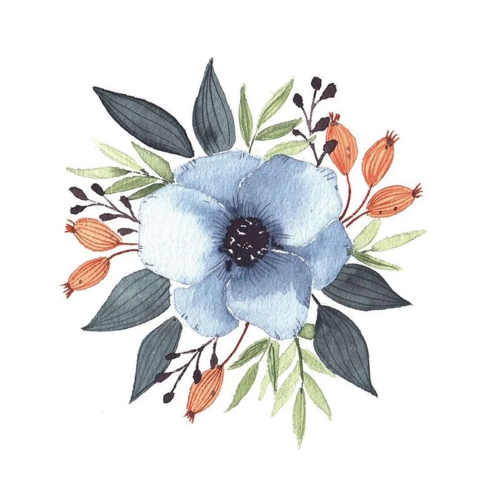 水彩小花花小房子绘画干净的水彩颜色