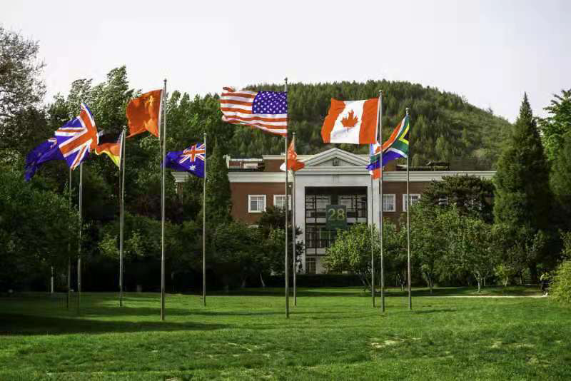 疫情下的留学生困境 已是无退路可走留学在线 疫情下的留学生困境 已是无退路可走留学在线