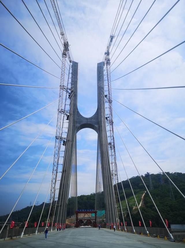 福厦高铁乌龙江特大桥合龙|乌龙江特大桥|福厦高铁|梁高|福州|斜拉桥
