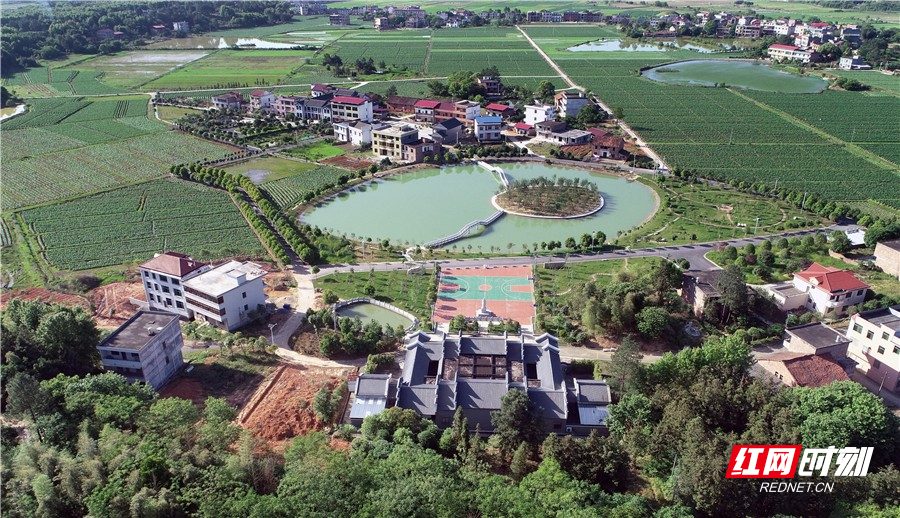 姜姿 通讯员 何炳文)拥有20个村民小组3500多人的安仁县安平镇塘田村