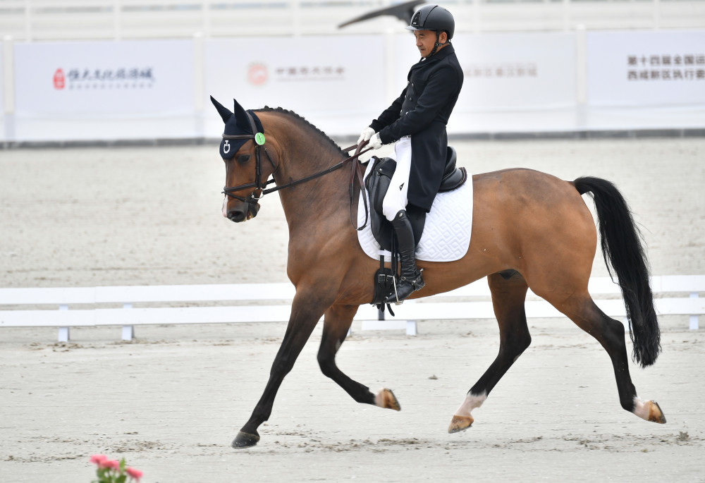 (体育)马术——第十四届全运会马术项目测试赛开赛