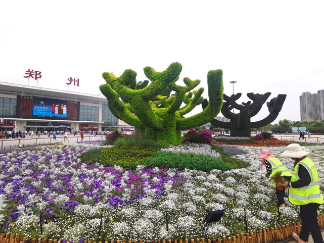 二十多个立体花坛现身郑州街头,你发现了没?