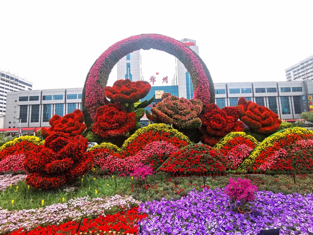 二十多个立体花坛现身郑州街头,你发现了没?_腾讯新闻