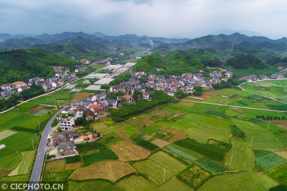 2021年6月17日,游客在浙江省湖州市德清县钟管镇蠡山村乘坐游船赏荷花