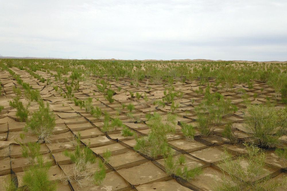新华全媒中国第三大沙漠南缘沙城变水乡
