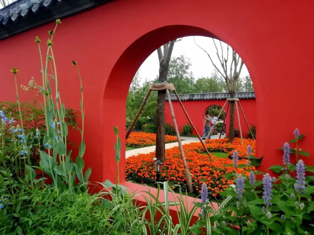 崇明花博会有不少看点为何有人竟说呒啥看头