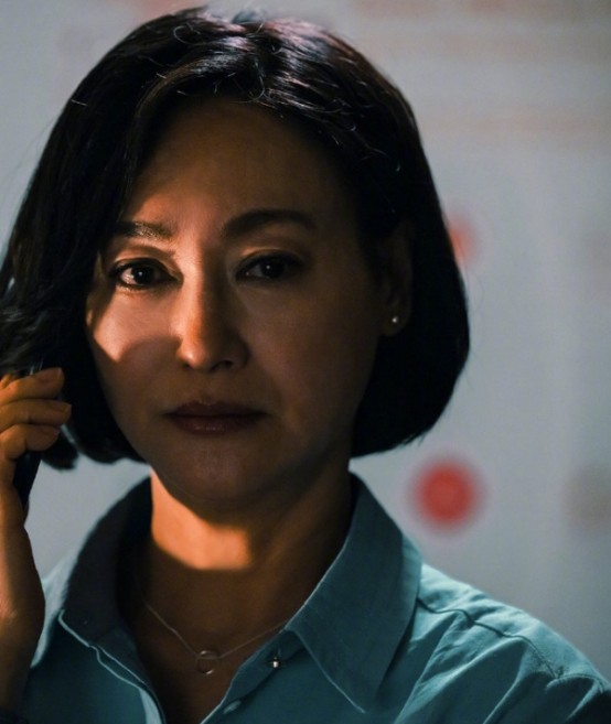 刑侦日记来袭惠英红领衔主演剧情扑朔迷离