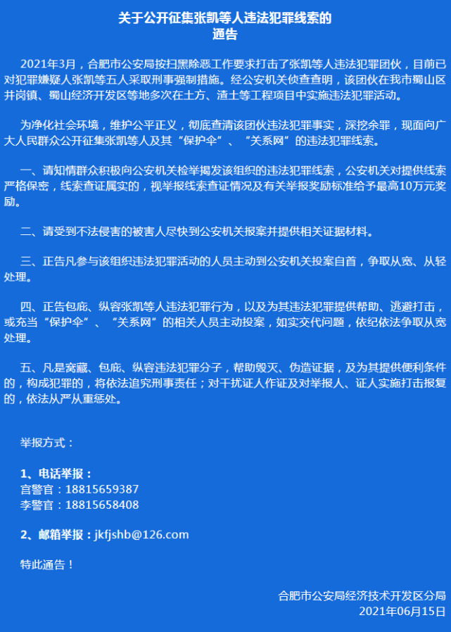 附:涉案人员基本情况1,张凯,男,绰号"大凯,安徽蜀祥建设工程有限公司