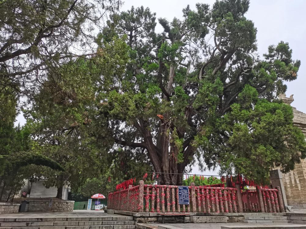 济南九顶松 自动播放  进入广告 视频加载失败,请点击重试 点击重试