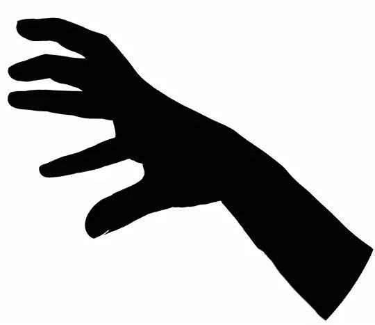 她伸出了黑手……利欲熏心之下面对不设防的"零钱包"一张相册中的证件