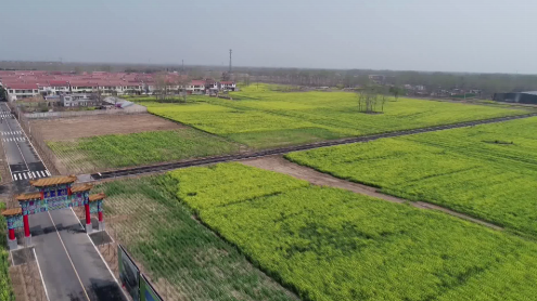 来原阳游玩的人们,除了原有的美景生态园,阳光玫瑰葡萄,休闲采摘农场