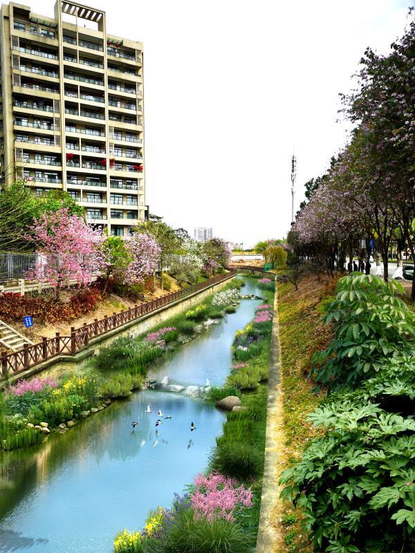 整治美化工程效果图该工程清障起点位于大金钟水库泄水渠汇入白云新城