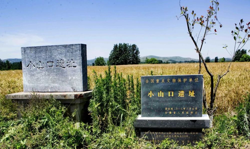 探源中原文化,小山口遗址是重要的一脉.