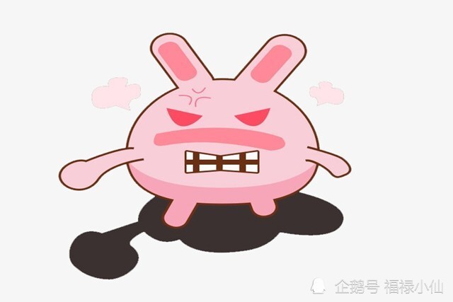 兔子急了也咬人不能轻易惹的3生肖女绝不忍气吞声能柔也能刚