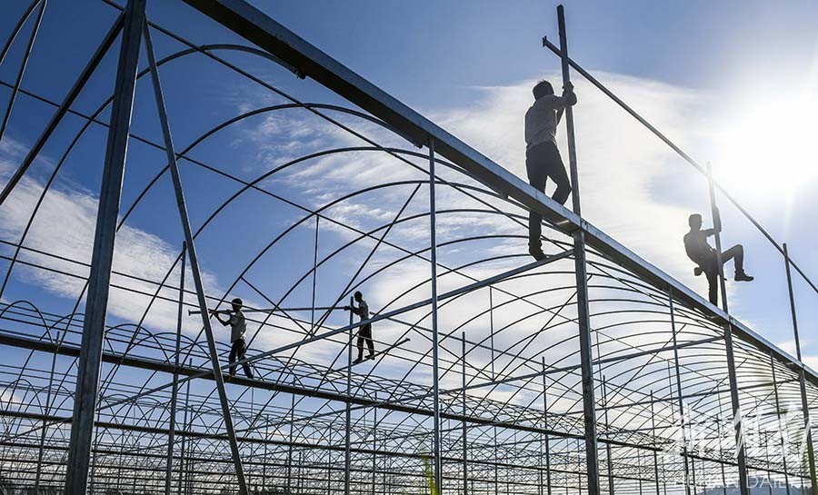 建大棚 促增收_腾讯新闻