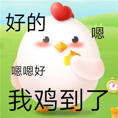 表情包蚂蚁庄园小鸡的可爱聊天表情