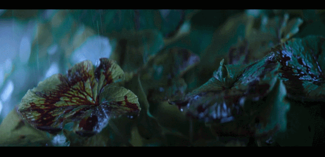 这是hanzo hasashi,他在电影结束时在地狱的永恒炼狱之后变成了蝎子.