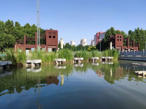 夏日里的衡水学院风景这边独好