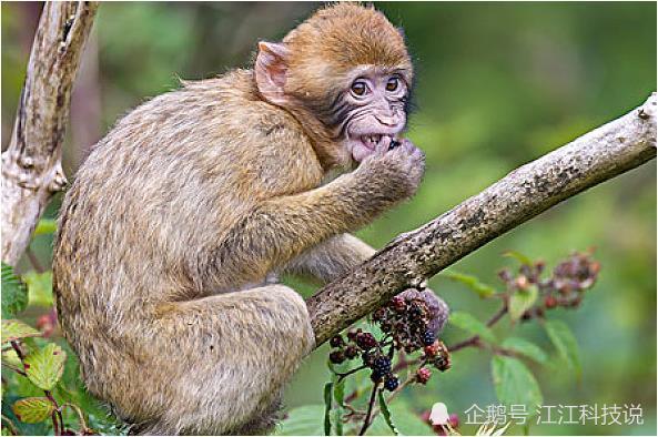 生肖猴的人 赶走晦气就在6月28号 我劝你了解一下比较好 腾讯新闻