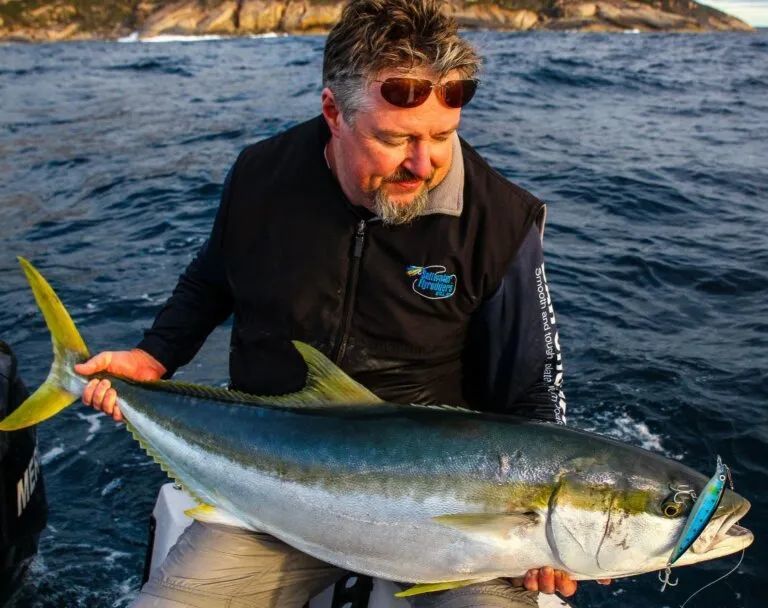 如何用随机森林算法 在深海养肥一群鱼 腾讯新闻