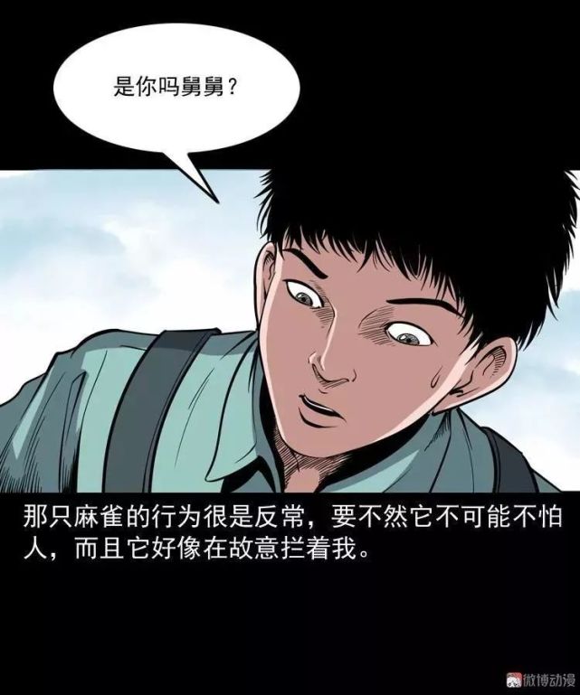 民间怪谈漫画 麻雀投胎转世成人