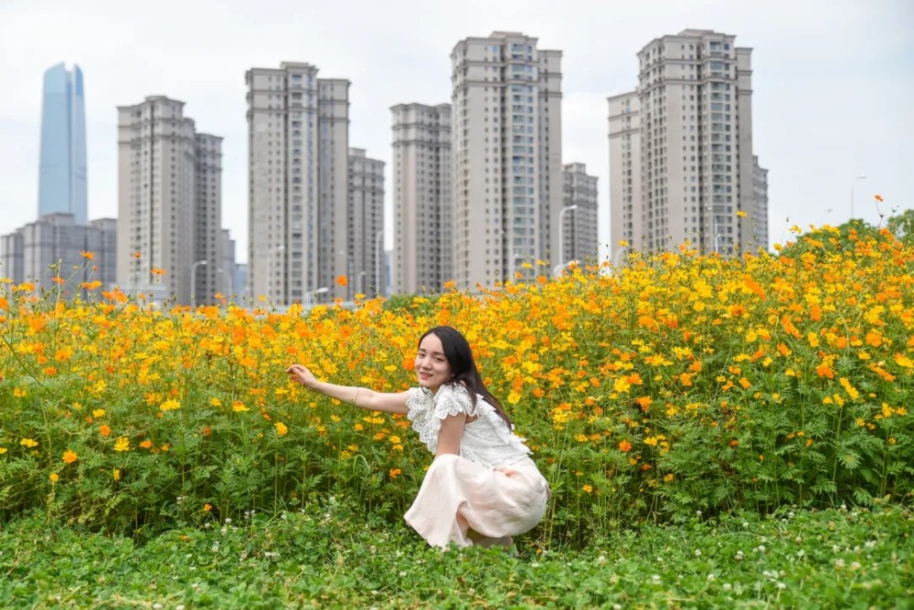 花海如烟火绽放 来看武汉的炫色夏日 腾讯新闻