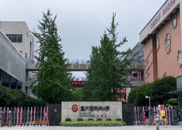 谢家湾小学金茂校区图片