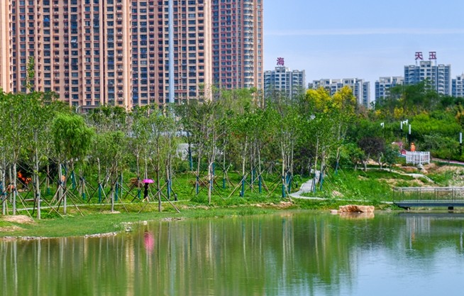 德州月湖公园今日开园